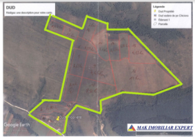 ferma-viticola-de-115-ha-de-vanzare-in-arad-intraextravilan-oportunitate-de-investitie-14