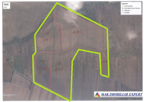 ferma-viticola-de-115-ha-de-vanzare-in-arad-intraextravilan-oportunitate-de-investitie-15