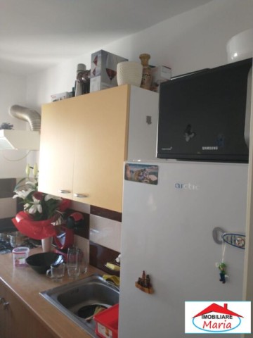 garsoniera-de-la-proprietar-in-complex-studentesc-timisoara-id-22924-1