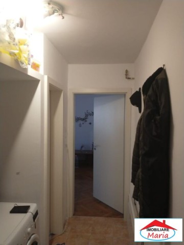 garsoniera-de-la-proprietar-in-complex-studentesc-timisoara-id-22924-7