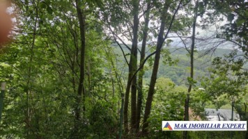 de-vanzare-vila-5-camere-cu-teren-de-1100-mp-in-dragoslavele-arges-72