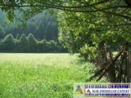 teren-de-vanzare-arges-teren-intravilan-2000-mp-in-rucar