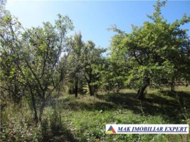 casa-de-vanzare-in-nucsoara-arges-la-casa-cu-4-camere-teren-8500-mp-3