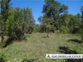 casa-de-vanzare-in-nucsoara-arges-la-casa-cu-4-camere-teren-8500-mp-2