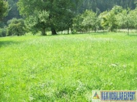 casa-memoriala-g-ral-vasile-milea-in-leresti-arges-rezervata-momentan-7