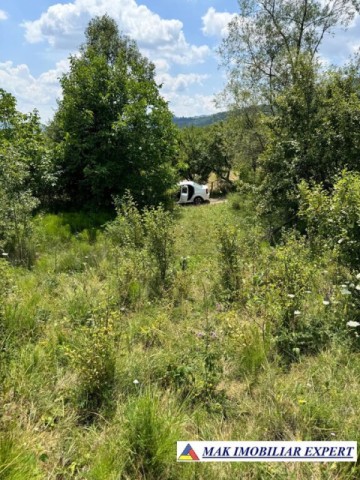 teren-extravilan-1-ha-de-vanzare-in-corbi-arges-6