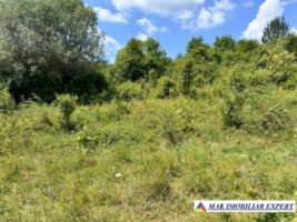 teren-extravilan-1-ha-de-vanzare-in-corbi-arges-2