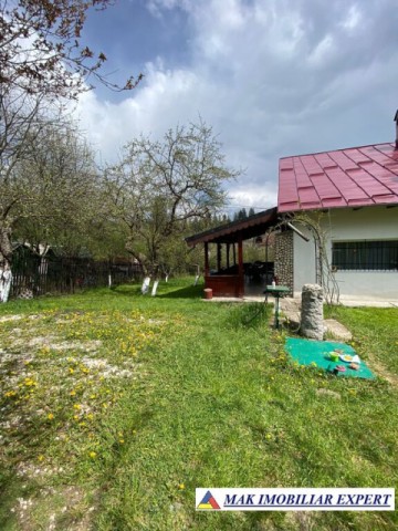 casa-musceleana-cu-3-camere-si-teren-de-2000-mp-de-vanzare-in-bughea-de-sus-arges-20