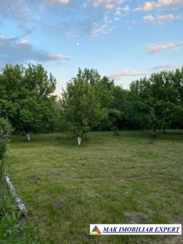 casa-musceleana-cu-3-camere-si-teren-de-2000-mp-de-vanzare-in-bughea-de-sus-arges-24