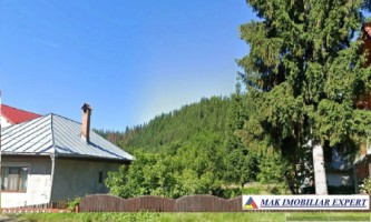 padure-urgenta-de-vanzare-67-ha-in-leresti-arges-1