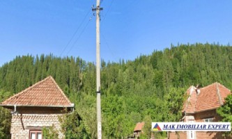 padure-urgenta-de-vanzare-67-ha-in-leresti-arges-2