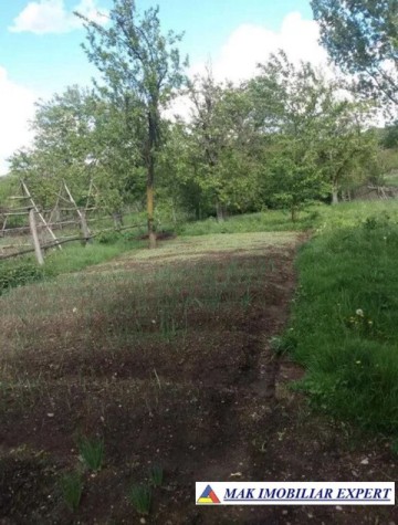 casa-5-camere-teren-4430-mp-de-vanzare-in-pietrosani-domnesti-arges-5