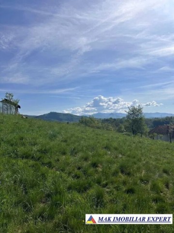teren-intravilan-3500-mp-de-vanzare-in-bughea-de-sus-arges-3