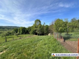 teren-intravilan-3500-mp-de-vanzare-in-bughea-de-sus-arges-1