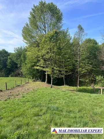 teren-intravilan-3500-mp-de-vanzare-in-bughea-de-sus-arges-2