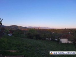 teren-intravilan-3500-mp-de-vanzare-in-bughea-de-sus-arges-4
