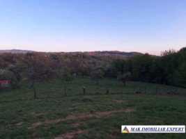teren-intravilan-3500-mp-de-vanzare-in-bughea-de-sus-arges-5