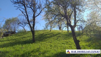 vand-casa-batraneasca-cu-teren-de-1269-mp-matau-arges-7