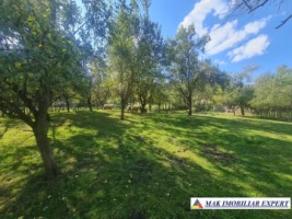 teren-intravilan-de-vanzare-in-badeni-stoenesti-arges-2805-mp-3