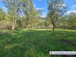 teren-intravilan-de-vanzare-in-badeni-stoenesti-arges-2805-mp-4