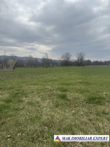 2-corpuri-de-casa-vechi-teren-4040-mp-de-vanzare-in-schitu-golesti-arges-ideal-pentru-renovare-sau-dezvoltare-5