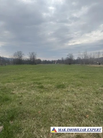2-corpuri-de-casa-vechi-teren-4040-mp-de-vanzare-in-schitu-golesti-arges-ideal-pentru-renovare-sau-dezvoltare-6