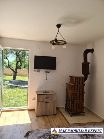 casa-3-camere-teren-7000-mp-de-vanzare-in-valea-mare-pravat-arges-ideala-pentru-familie-8