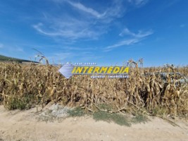 700-mp-teren-intravilan-de-vanzare-in-alba-iulia-cartier-micesti-6