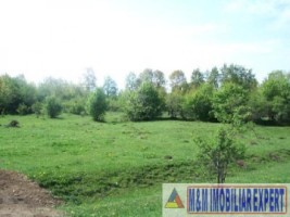 teren-1-ha-extravilan-de-vanzare-in-cretisoara-campulung-muscel-arges