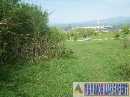 teren-1-ha-extravilan-de-vanzare-in-cretisoara-campulung-muscel-arges-1