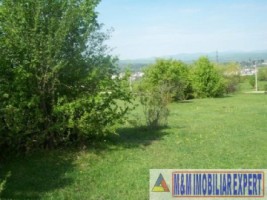 teren-1-ha-extravilan-de-vanzare-in-cretisoara-campulung-muscel-arges-2