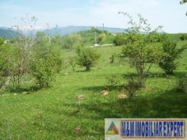 teren-1-ha-extravilan-de-vanzare-in-cretisoara-campulung-muscel-arges-5