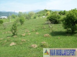 teren-1-ha-extravilan-de-vanzare-in-cretisoara-campulung-muscel-arges-4