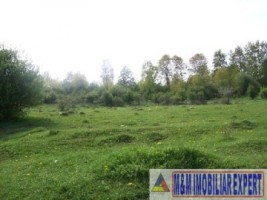 teren-1-ha-extravilan-de-vanzare-in-cretisoara-campulung-muscel-arges-3