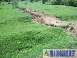 teren-1-ha-extravilan-de-vanzare-in-cretisoara-campulung-muscel-arges-6