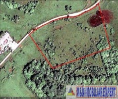 teren-1-ha-extravilan-de-vanzare-in-cretisoara-campulung-muscel-arges-9