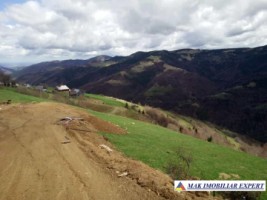 teren-5619-mp-intravilan-de-vanzare-in-racatau-cluj-ideal-pentru-constructii-rezidentiale