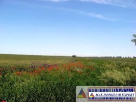 teren-intravilan-7-parcele-700-mp-de-vanzare-in-ciocanesti-dambovita-ideal-pentru-constructii-rezidentiale-7