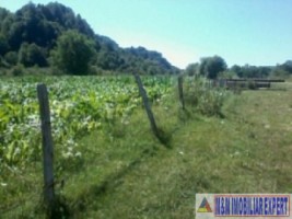 teren-3000-mp-intraextravilan-de-vanzare-in-malu-cu-flori-dambovita-ideal-pentru-constructii-si-activitati-agricole-6