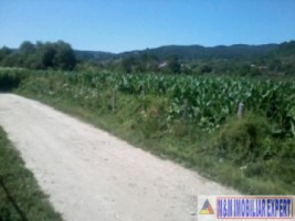 teren-3000-mp-intraextravilan-de-vanzare-in-malu-cu-flori-dambovita-ideal-pentru-constructii-si-activitati-agricole-7