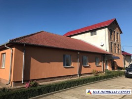 vila-11-camere-teren-6600-mp-de-vanzare-in-negoi-dolj-oportunitate-pentru-proiecte-rezidentiale-sau-turistice-1