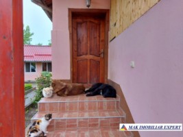 vila-11-camere-teren-6600-mp-de-vanzare-in-negoi-dolj-oportunitate-pentru-proiecte-rezidentiale-sau-turistice-9