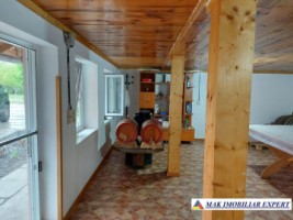 vila-11-camere-teren-6600-mp-de-vanzare-in-negoi-dolj-oportunitate-pentru-proiecte-rezidentiale-sau-turistice-10