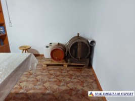 vila-11-camere-teren-6600-mp-de-vanzare-in-negoi-dolj-oportunitate-pentru-proiecte-rezidentiale-sau-turistice-29