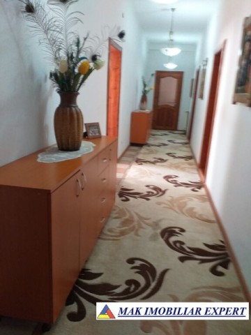 vila-11-camere-teren-6600-mp-de-vanzare-in-negoi-dolj-oportunitate-pentru-proiecte-rezidentiale-sau-turistice-27