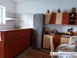 vila-11-camere-teren-6600-mp-de-vanzare-in-negoi-dolj-oportunitate-pentru-proiecte-rezidentiale-sau-turistice-35