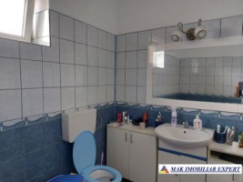vila-11-camere-teren-6600-mp-de-vanzare-in-negoi-dolj-oportunitate-pentru-proiecte-rezidentiale-sau-turistice-42