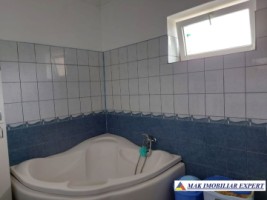 vila-11-camere-teren-6600-mp-de-vanzare-in-negoi-dolj-oportunitate-pentru-proiecte-rezidentiale-sau-turistice-43