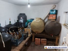 vila-11-camere-teren-6600-mp-de-vanzare-in-negoi-dolj-oportunitate-pentru-proiecte-rezidentiale-sau-turistice-49