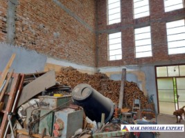 vila-11-camere-teren-6600-mp-de-vanzare-in-negoi-dolj-oportunitate-pentru-proiecte-rezidentiale-sau-turistice-53